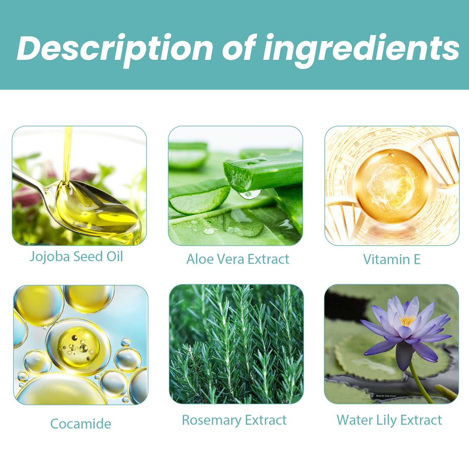 Shower Oil Body Cleansing Repairing EELHOE  | Yazijico™