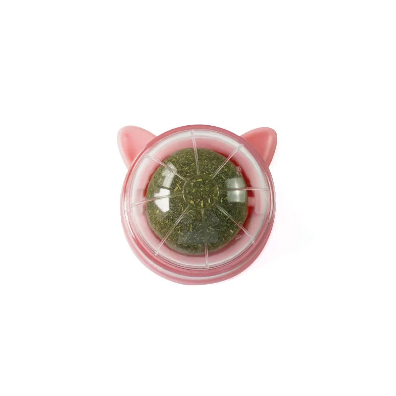 Natural Catnip Scratching Post for Cat Scrapers | Yazijico™