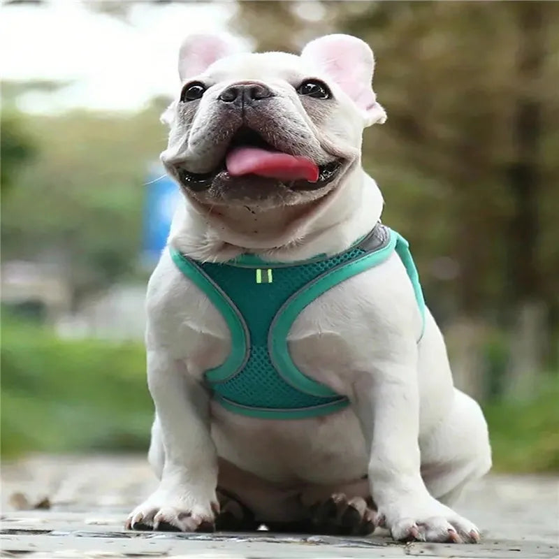 Pet Harness Leash Set Escape Proof Reflective