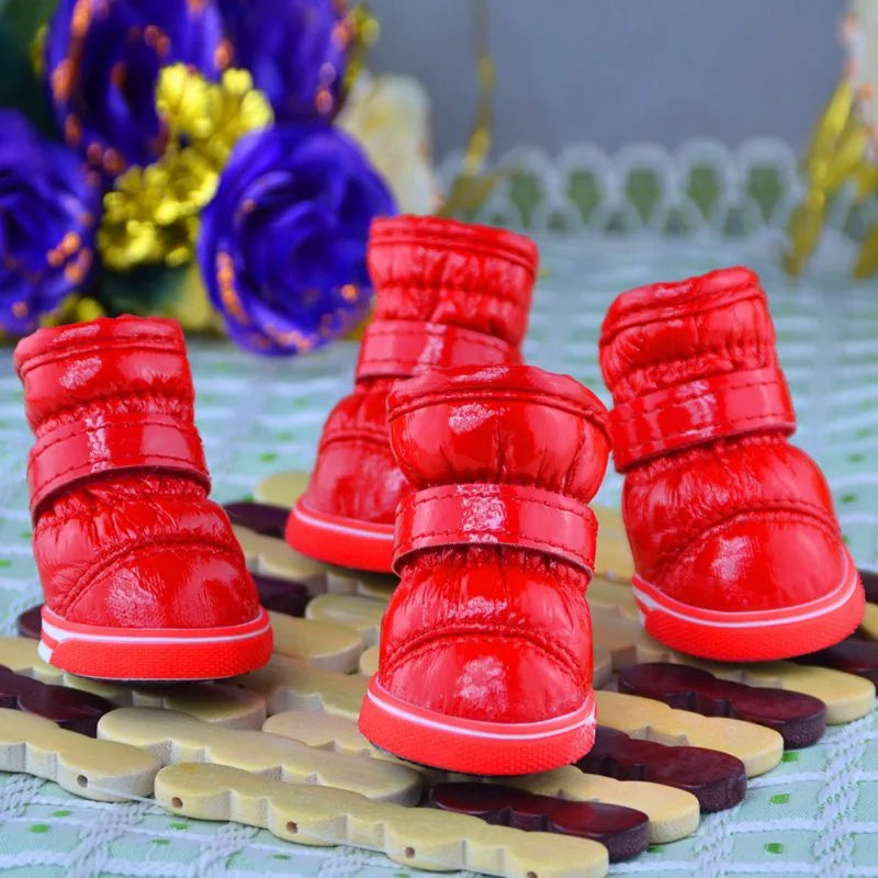 Set Pet Snow Boots Winter Casual | Yazijico™