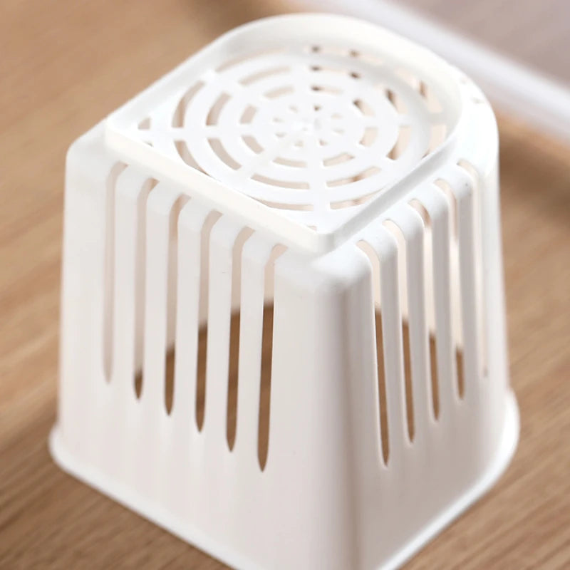 Yazijico™ Refrigerator Food Drain Fresh-keeping Box Ginger - Yazijico™