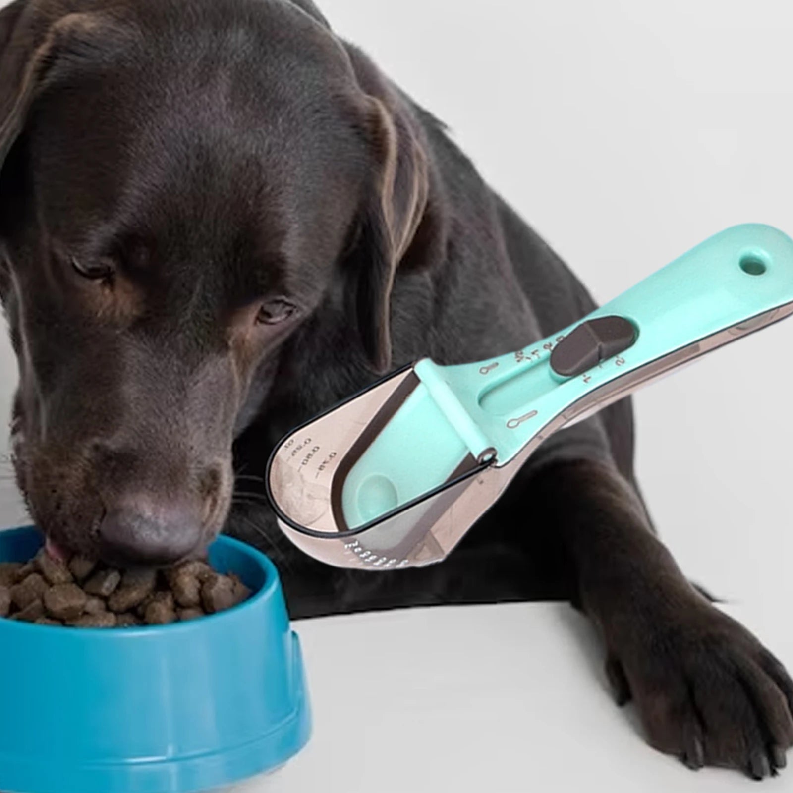Pet Food Measuring Spoon Cup | Yazijico™