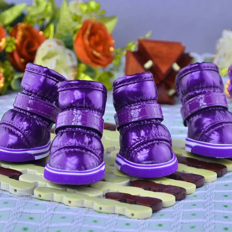 Set Pet Snow Boots Winter Casual | Yazijico™
