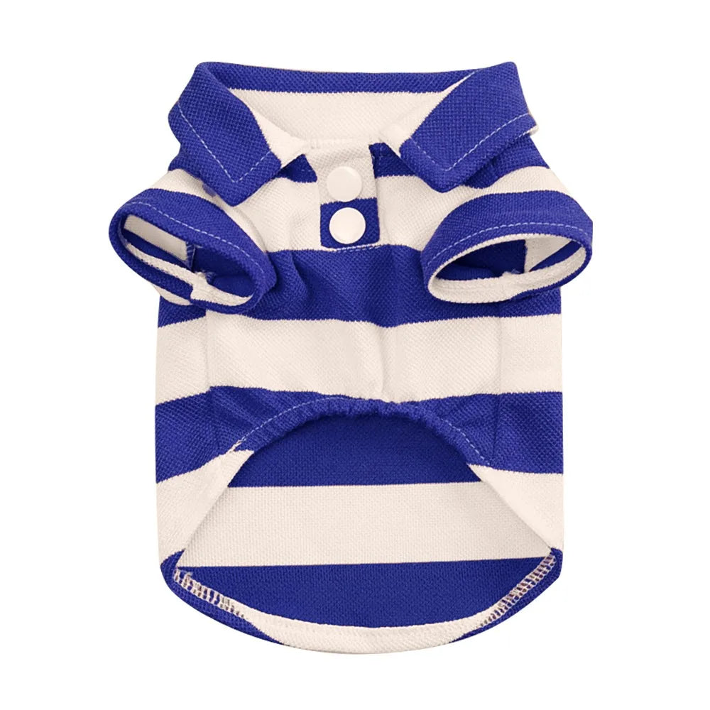 48494294303045|48494294335813|48494294368581|48494294434117|48494294466885