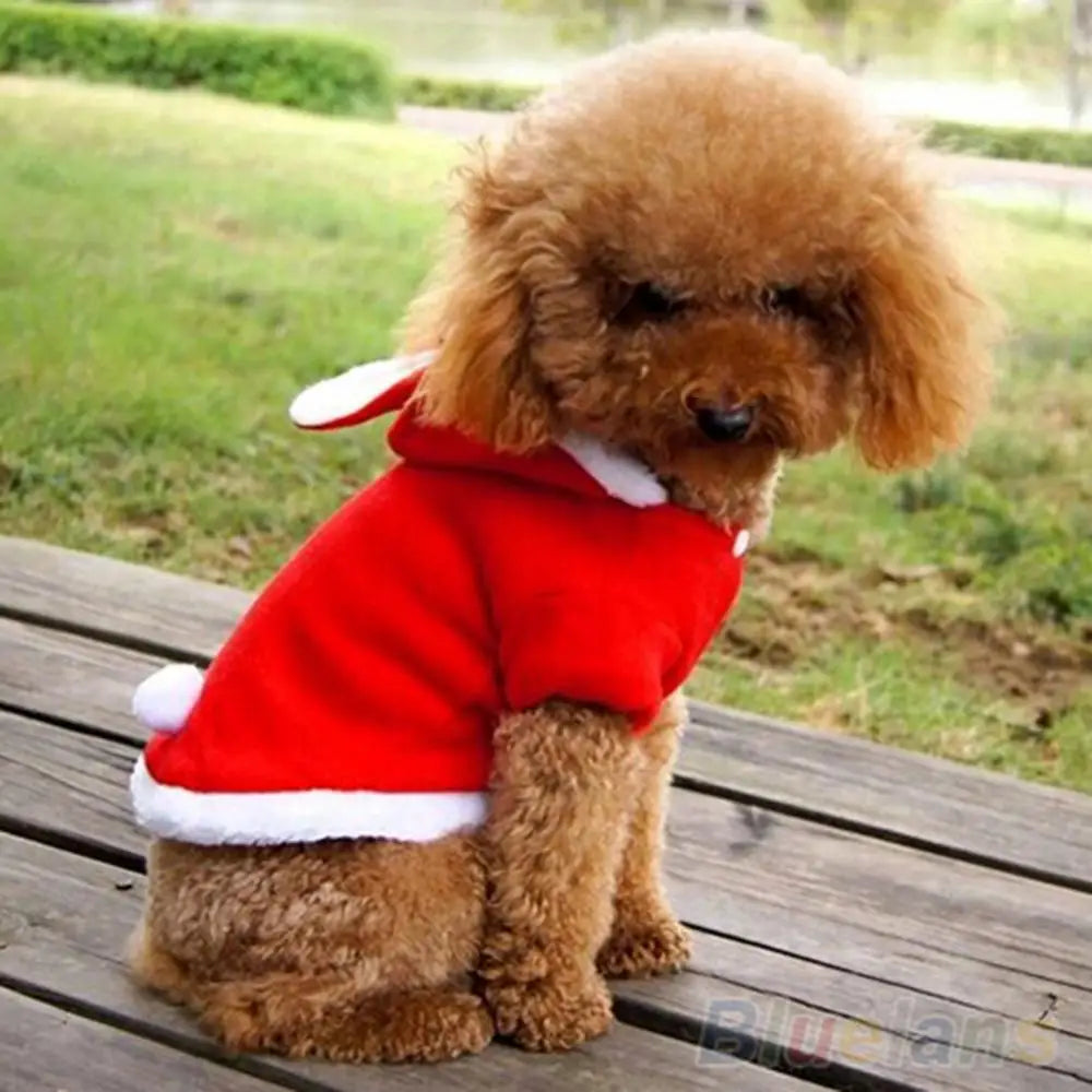 Pet Dog Cats Cute Hoodie Bunny Clothes Winter   | Yazijico™