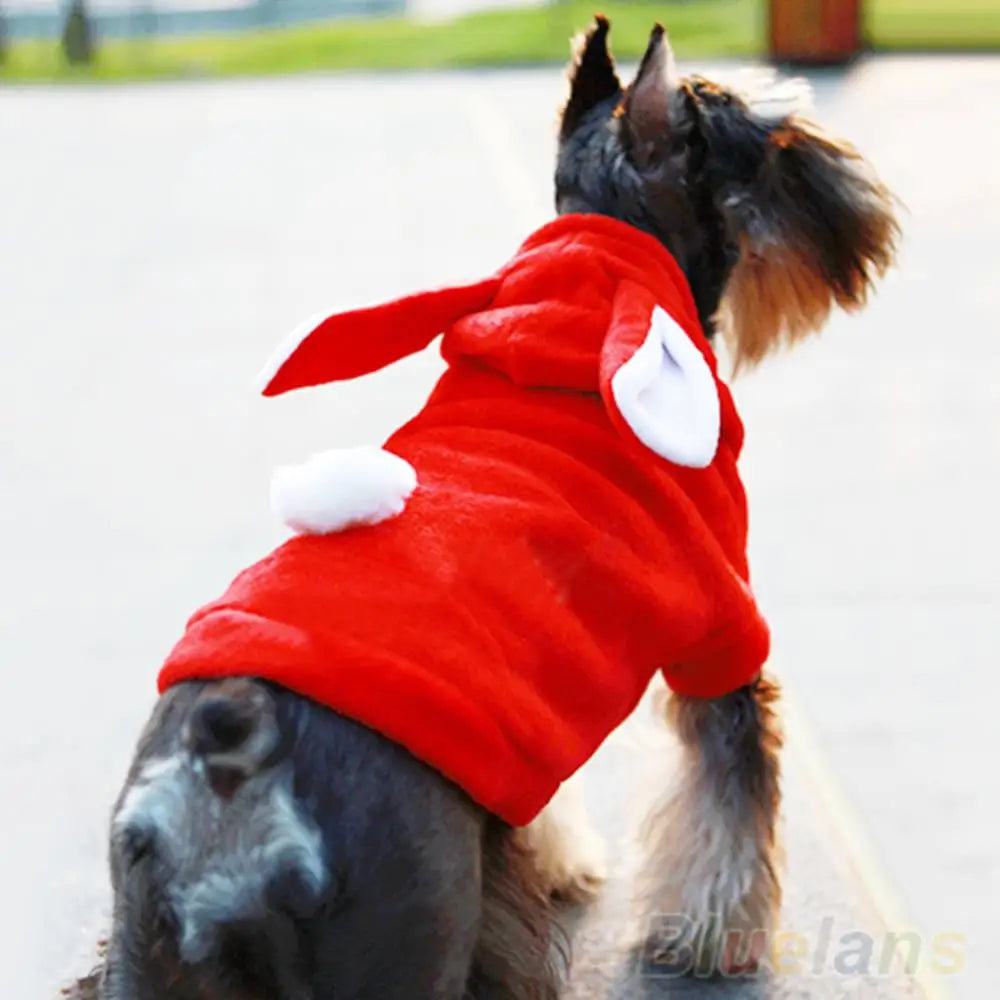 Pet Dog Cats Cute Hoodie Bunny Clothes Winter   | Yazijico™