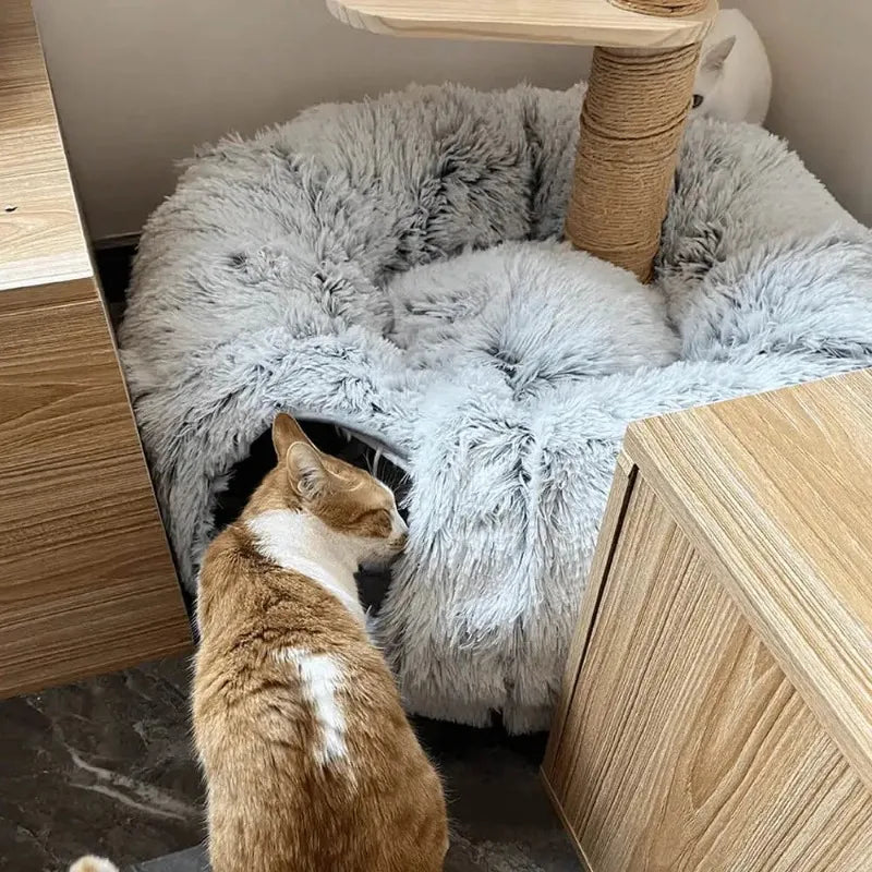 Yazijico™ Plush Cat Bed with Tunnel for Indoor Cats - Yazijico™