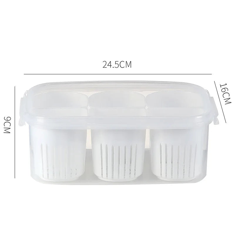 Refrigerator Food Drain Fresh-keeping Box Ginger | Yazijico™