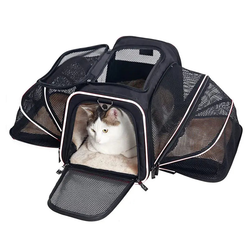 Pet Carriers Backpack Portable | Yazijico™