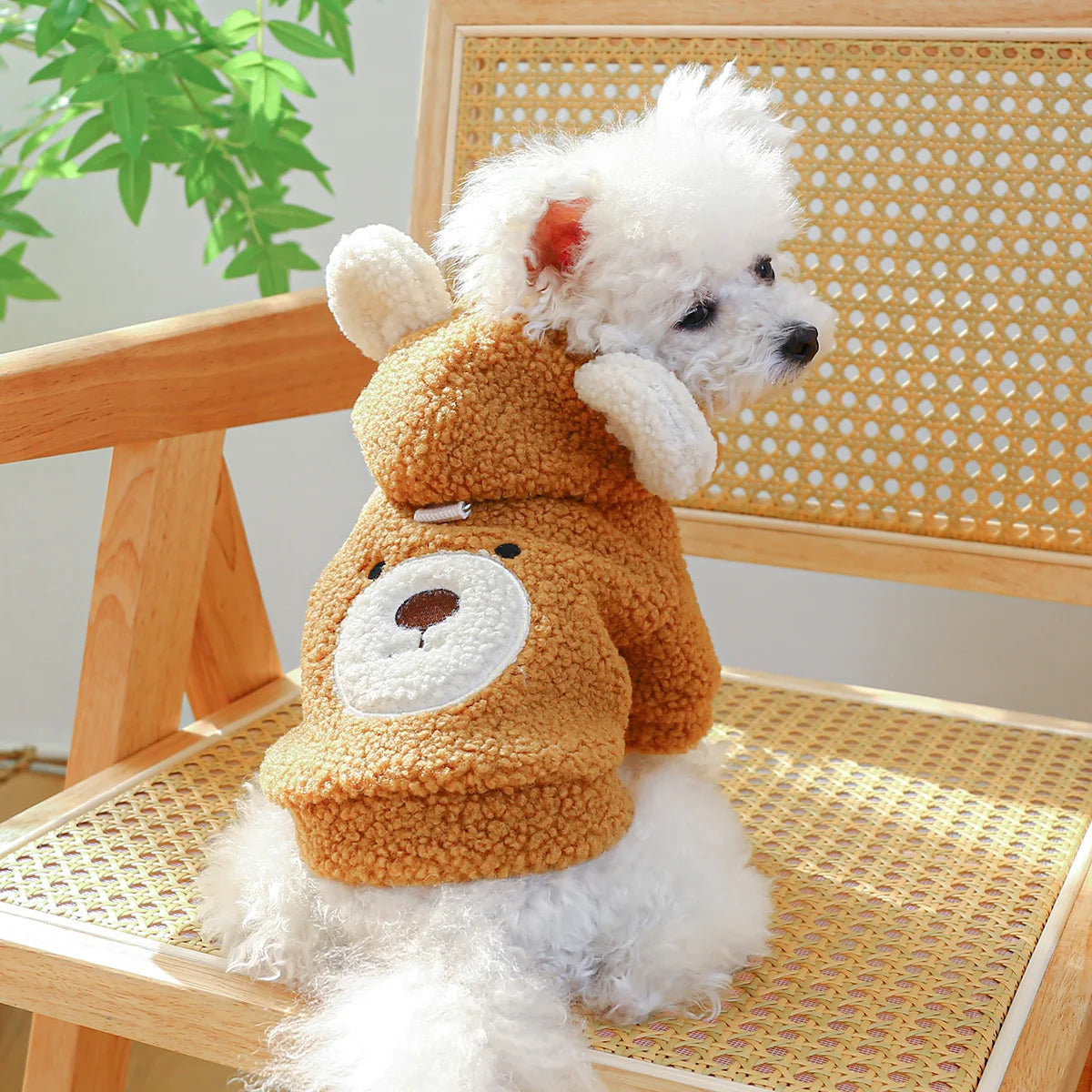 Pet Apparel Cat Autumn Winter Plush Thickened Warm | Yazijico™