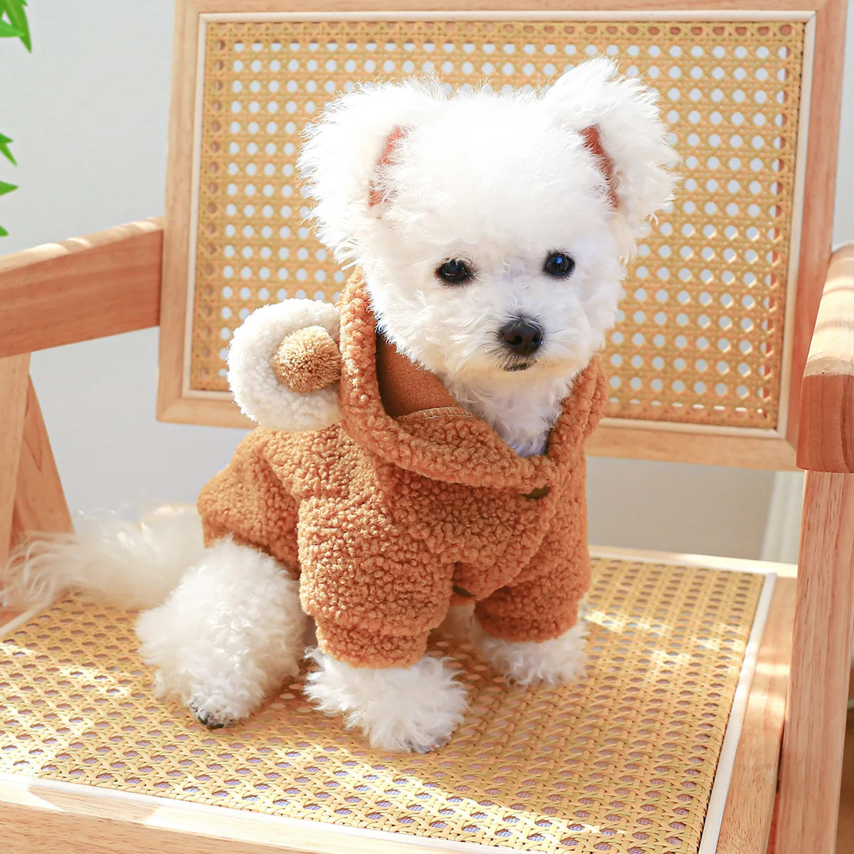 Pet Apparel Cat Autumn Winter Plush Thickened Warm | Yazijico™