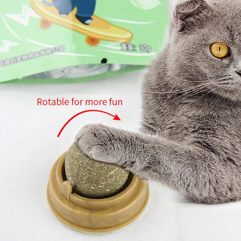 Natural Catnip Scratching Post for Cat Scrapers | Yazijico™