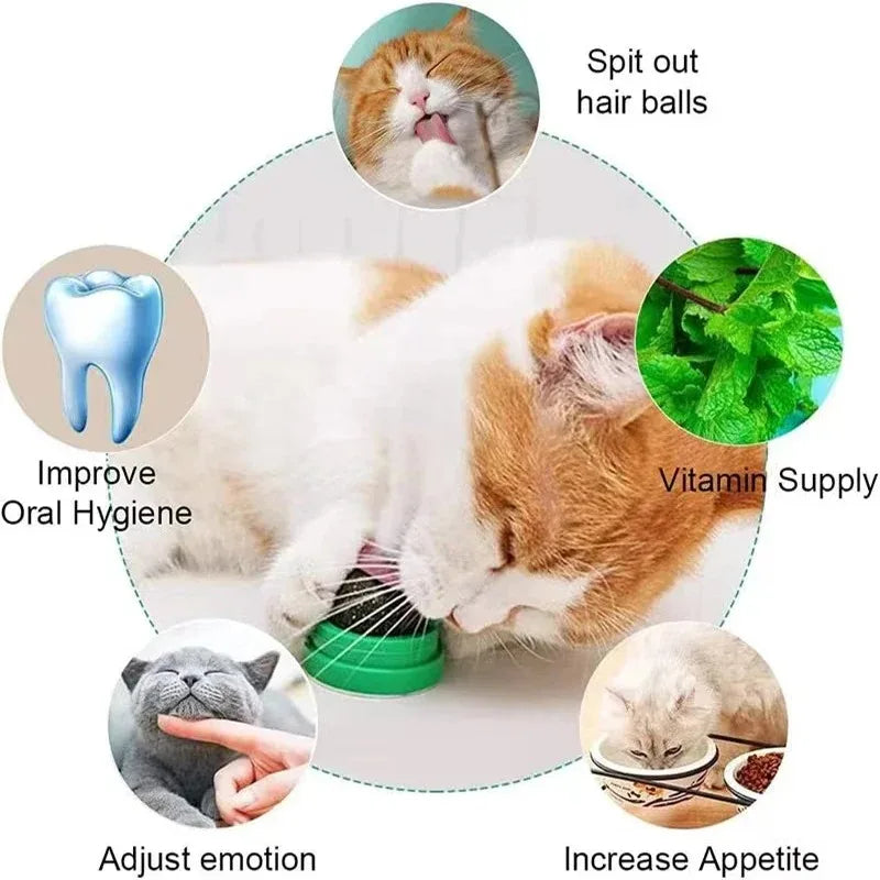 Natural Catnip Scratching Post for Cat Scrapers | Yazijico™