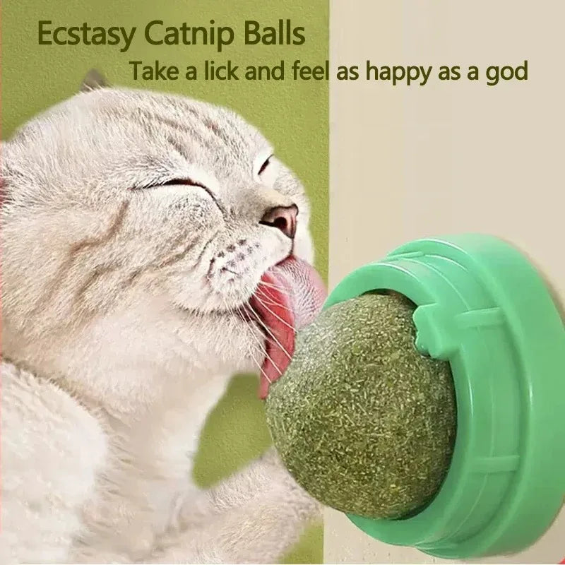 Natural Catnip Scratching Post for Cat Scrapers | Yazijico™