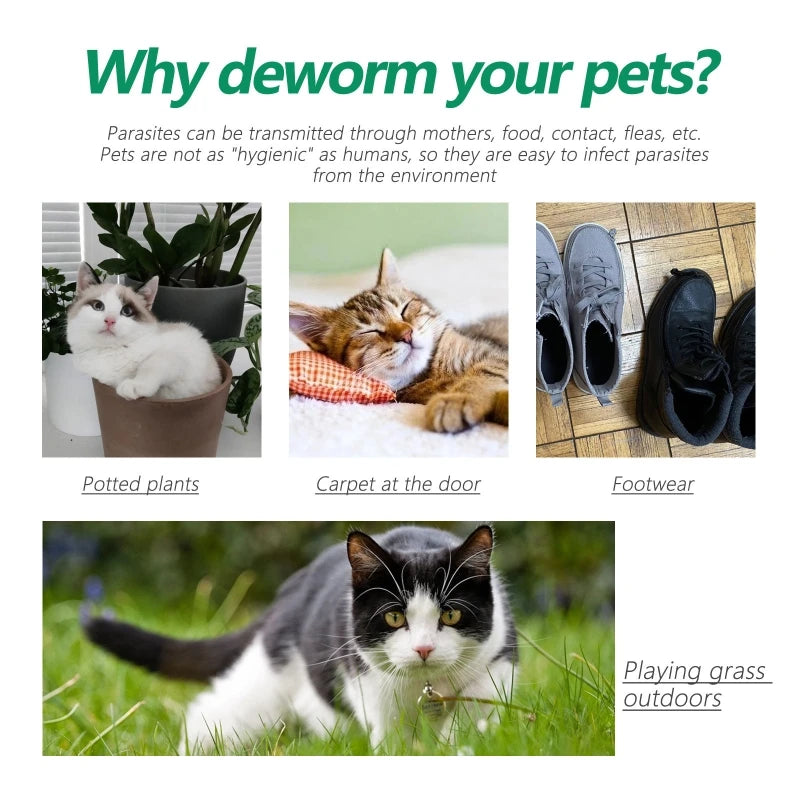 Pet Fleas and Ticks Remover Collar Adjustable Mosquitoes Collar | Yazijico™