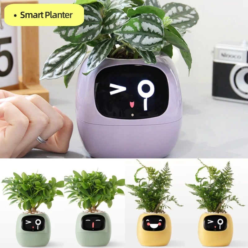 Smart Planter Endless Sensors And AI Chips
