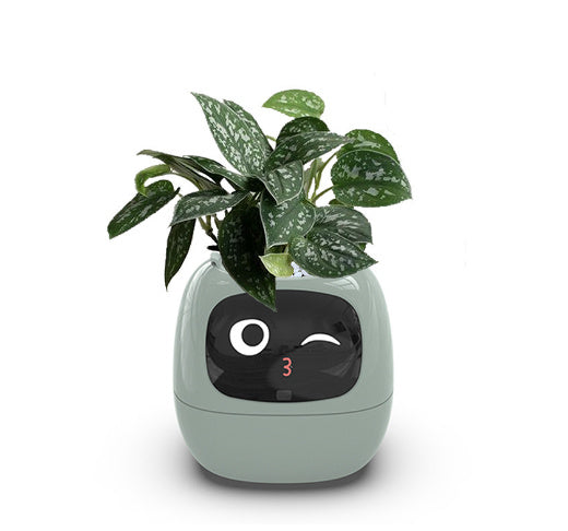 Smart Planter Endless Sensors And AI Chips