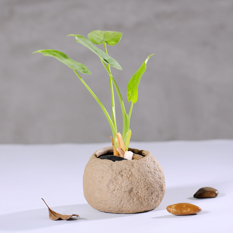 Hand-made coarse potted succulent flowerpots | Yazijico™ 