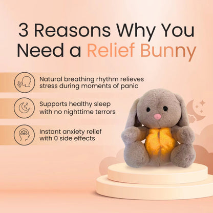 Relief Bunny plush toy with text on a pink background