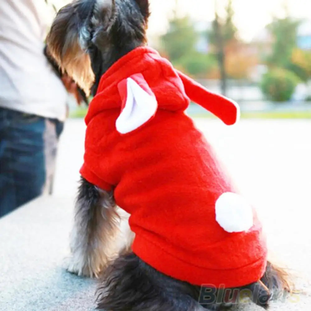 Pet Dog Cats Cute Hoodie Bunny Clothes Winter   | Yazijico™