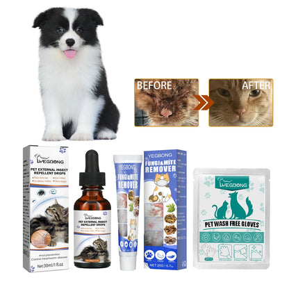 Cat Anti Flea Drops Flea Lice Insect Remover Prevent| Yazijico™ 