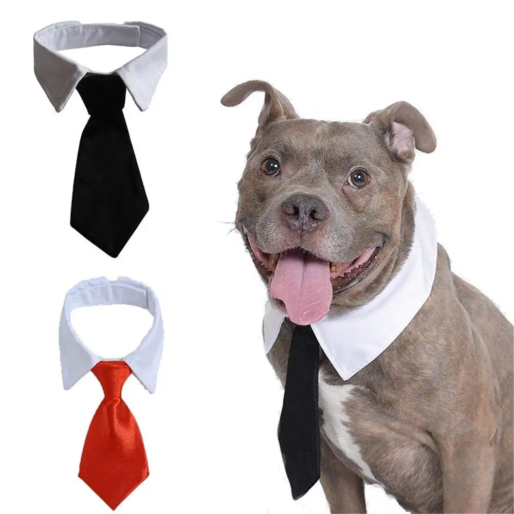 Pet Dog Cat Formal Necktie Tuxedo Bow Tie Black and Red | Yazijico™  