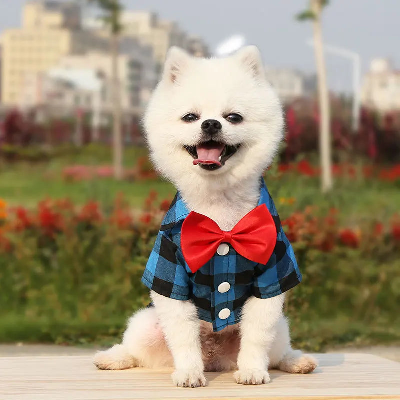 Pet Clothes Dogs Plaid Striped Shirt Suit Wedding Dress | Yazijico™ 
