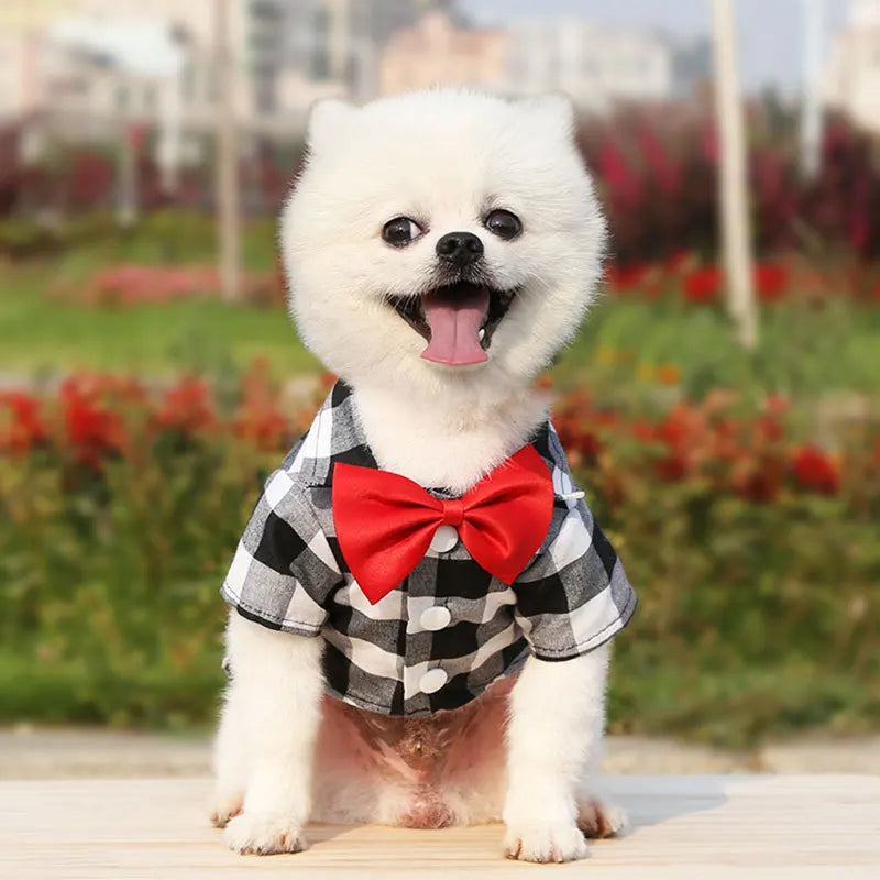 Pet Clothes Dogs Plaid Striped Shirt Suit Wedding Dress | Yazijico™ 