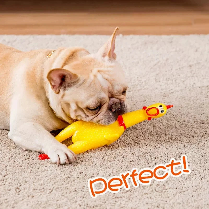 Funny Screaming Chicken Pet Dog Chew Toys | Yazijico™ 