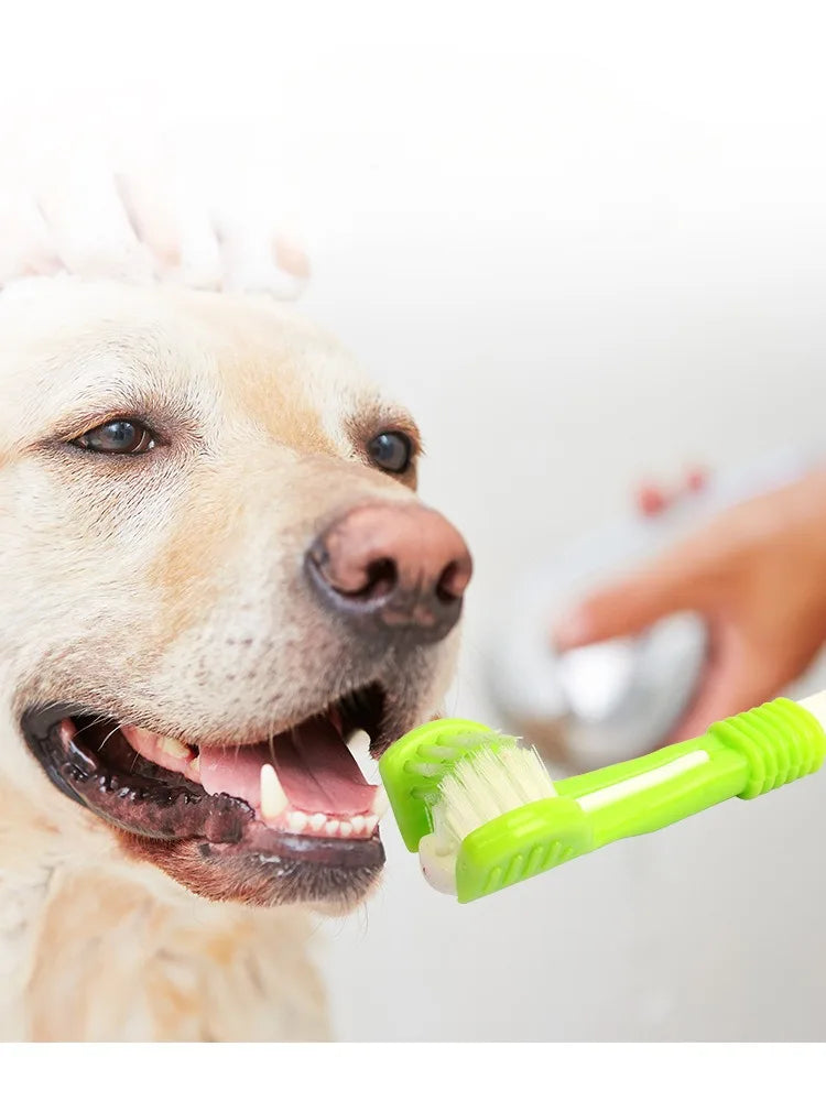 Three Sided Pet Toothbrush Cleaning