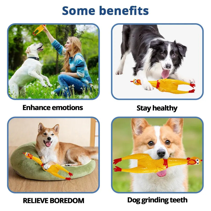Funny Screaming Chicken Pet Dog Chew Toys | Yazijico™ 