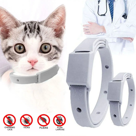 Anti Flea Tick Collar For Cat Small Dog Antiparasitic | Yazijico™