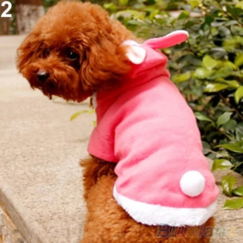 Pet Dog Cats Cute Hoodie Bunny Clothes Winter   | Yazijico™