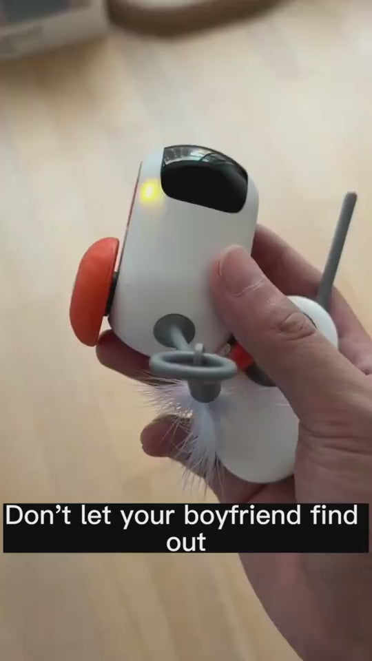 Remote Control Interactive Cat Car Toy Chasing 