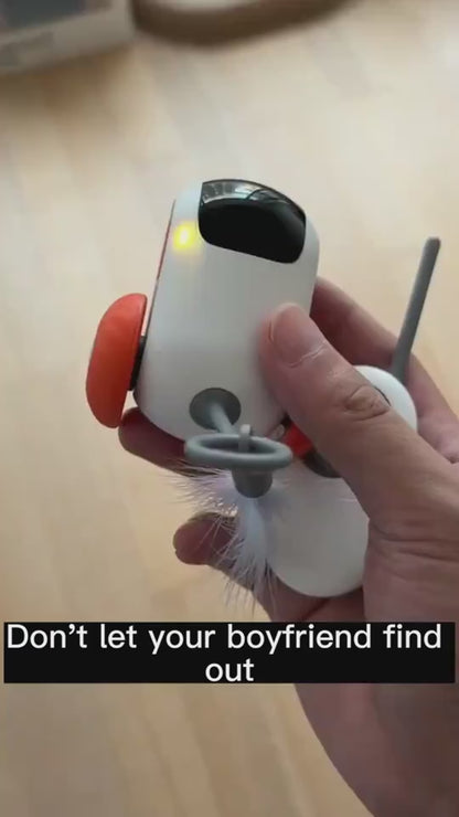 Remote Control Interactive Cat Car Toy Chasing 