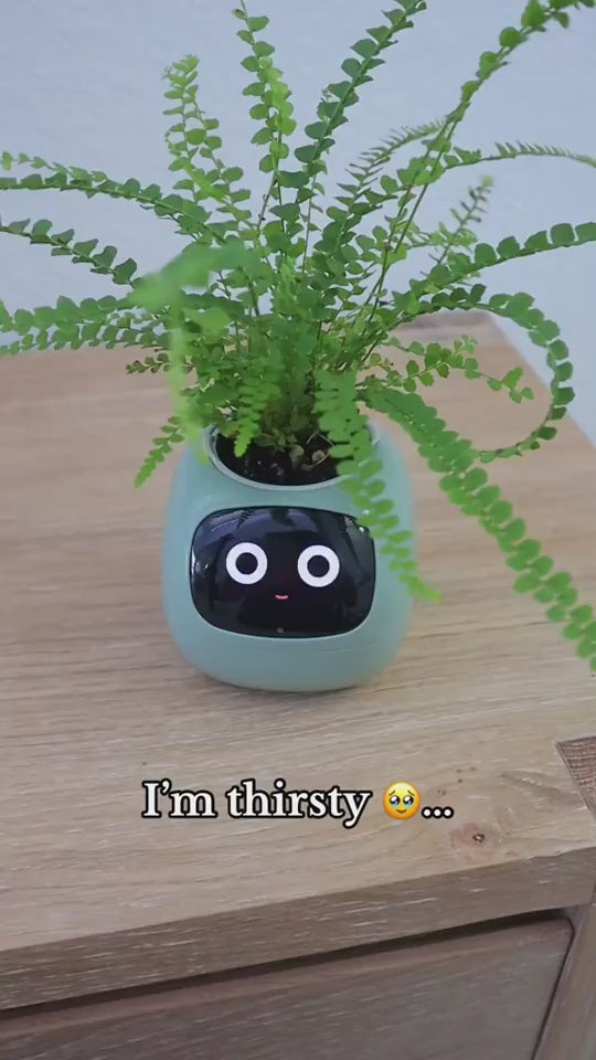 Smart Planter Endless Sensors And AI Chips 