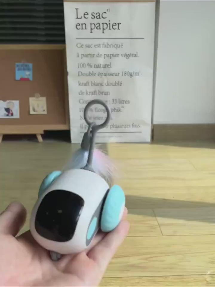 Remote Control Interactive Cat Car Toy Chasing 